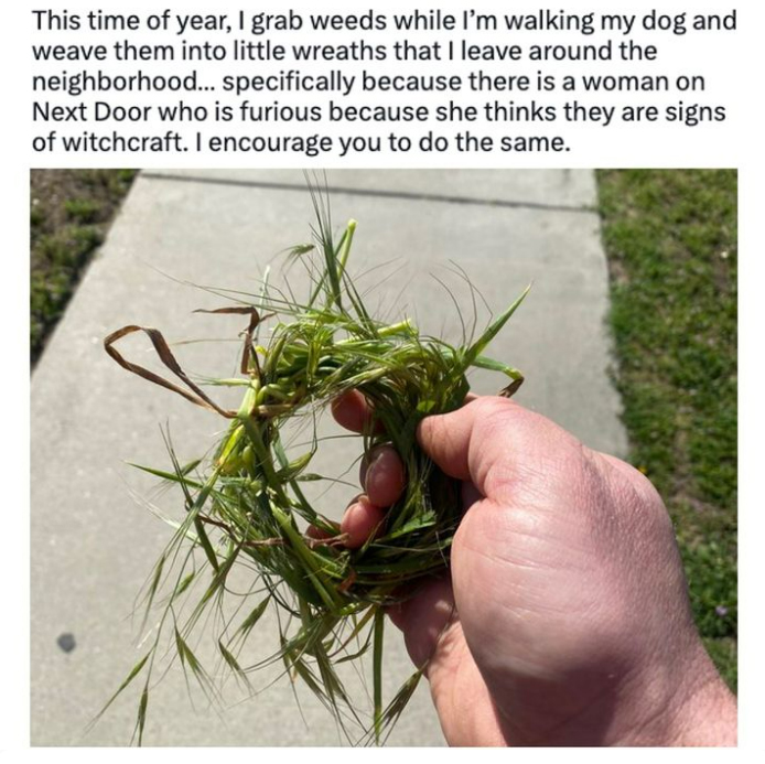 funny memes and pics - Internet meme - This time of year, I grab weeds while I'm walking my dog and weave them into little wreaths that I leave around the neighborhood... specifically because there is a woman on Next Door who is furious because she thinks