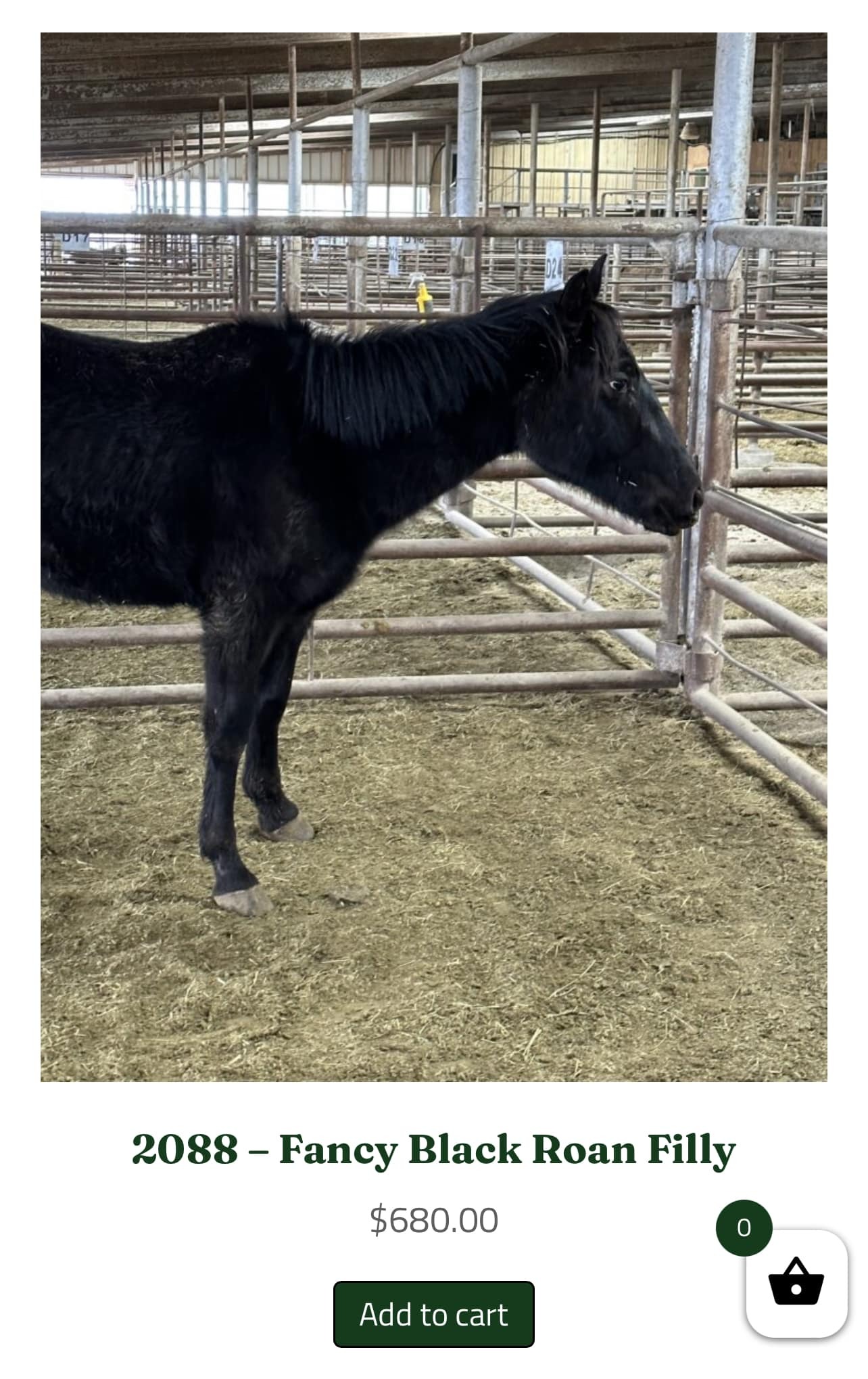 fucked up tumblr horses - -  - Ya 2088 Fancy Black Roan Filly $680.00 Add to cart 0