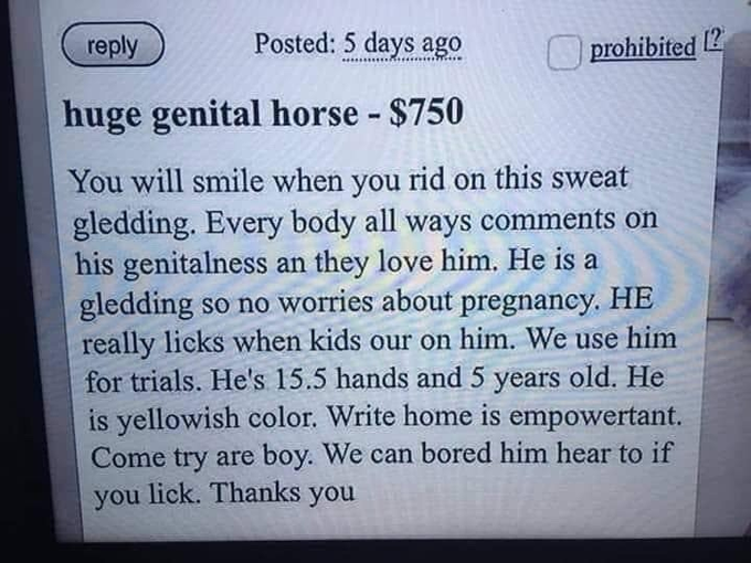fucked up tumblr horses - huge genital horse - Posted 5 days ago huge genital horse $750 You will smile when you rid on this sweat gledding. Every body all ways on his genitalness an they love him. He is a gledding so no worries about pregnancy. He really