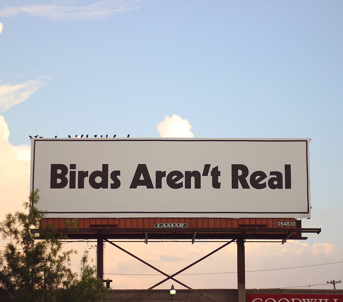 Dumbest Controversies and Conspiracies - mcdonald's - Birds Aren't Real La 444 600DWITT I