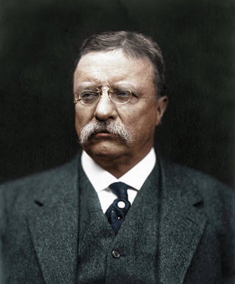 wtf facts - theodore roosevelt