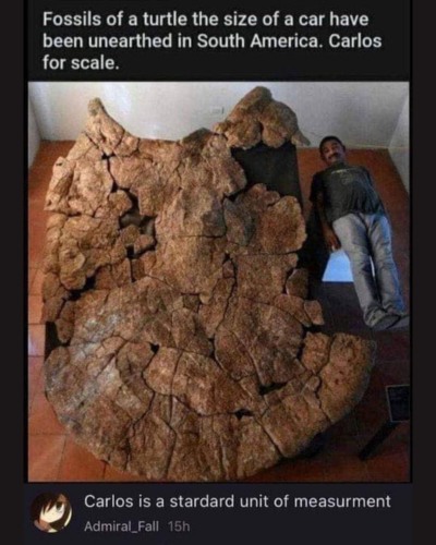 relatable memes - carlos unit of measurement - Fossils of a turtle the size of a car have been unearthed in South America. Carlos for scale. Carlos is a stardard unit of measurment Admiral Fall 15h
