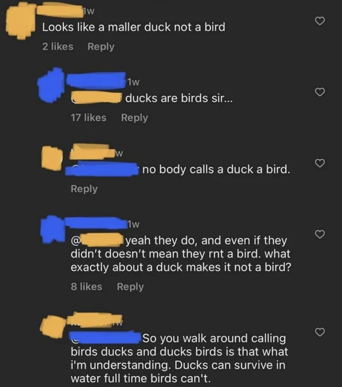screenshot - Looks a maller duck not a bird 2 1w ducks are birds sir... 17 no body calls a duck a bird. 1w yeah they do, and even if they didn't doesn't mean they rnt a bird. what exactly about a duck makes it not a bird? 8 So you walk around calling bird