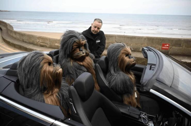 cool random pics - Wookiee - Parking