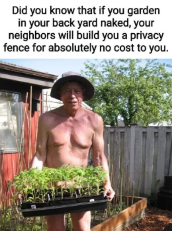 spicy memes - barechestedness - Did you know that if you garden in your back yard naked, your neighbors will build you a privacy fence for absolutely no cost to you.