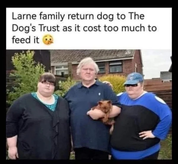hold up a minute pics - people - Larne family return dog to The Dog's Trust as it cost too much to feed it