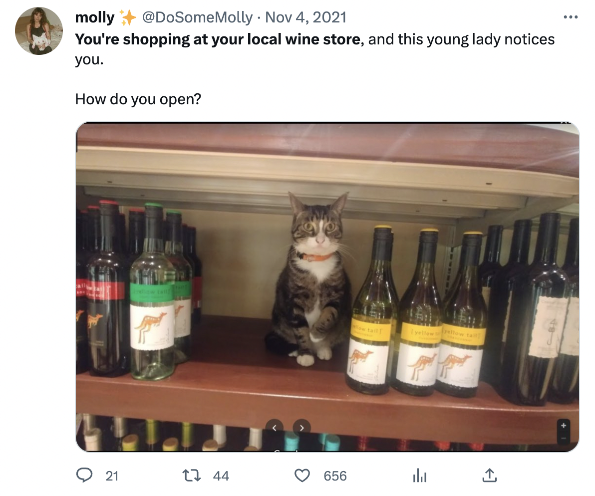 pick up artist wine store - liqueur - molly You're shopping at your local wine store, and this young lady notices you. How do you open?