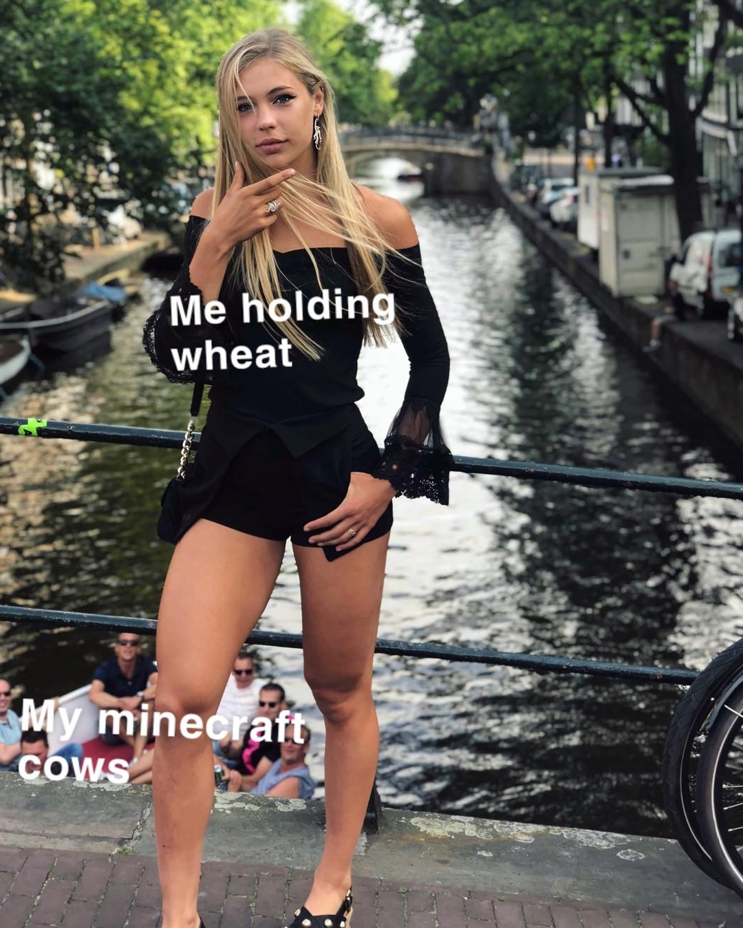 funny memes - jutta leerdam ass - Me holding wheat My minecraft Cows