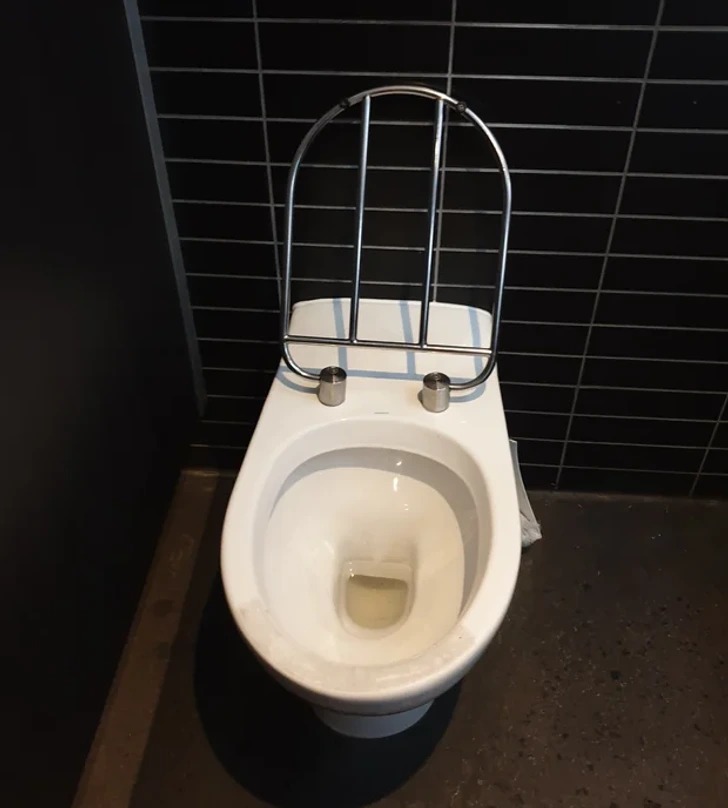 designs that failed - toilet - D