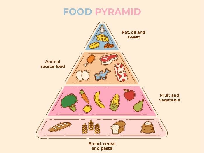 School Reddit Education - food pyramid - Food Pyramid Animal source food Cand Bread, cereal and pasta Fat, oil and sweet Milk Fruit and vegetable