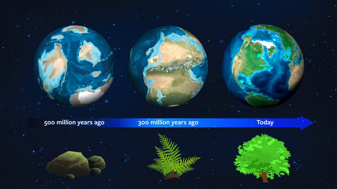 School Reddit Education - earth's history - 500 million years ago 300 million years ago Today