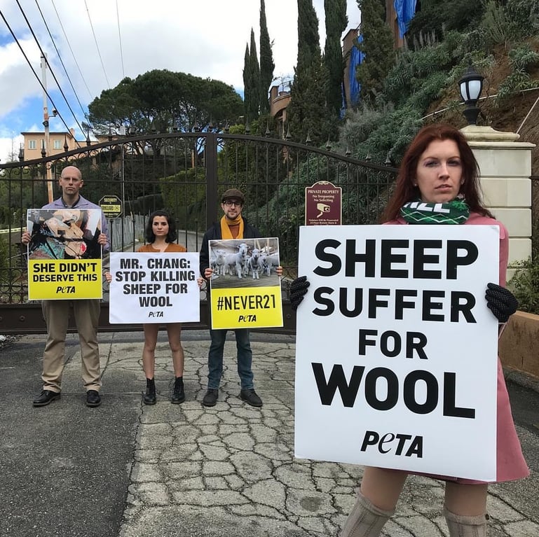 fails and facepalms  - do you kill sheep for wool - She Didn'T Deserve This Puta M Security Mr. Chang Stop Killing, Sheep For Wool Puta Private Property No Sing Sheep Suffer For Puta Wool Peta