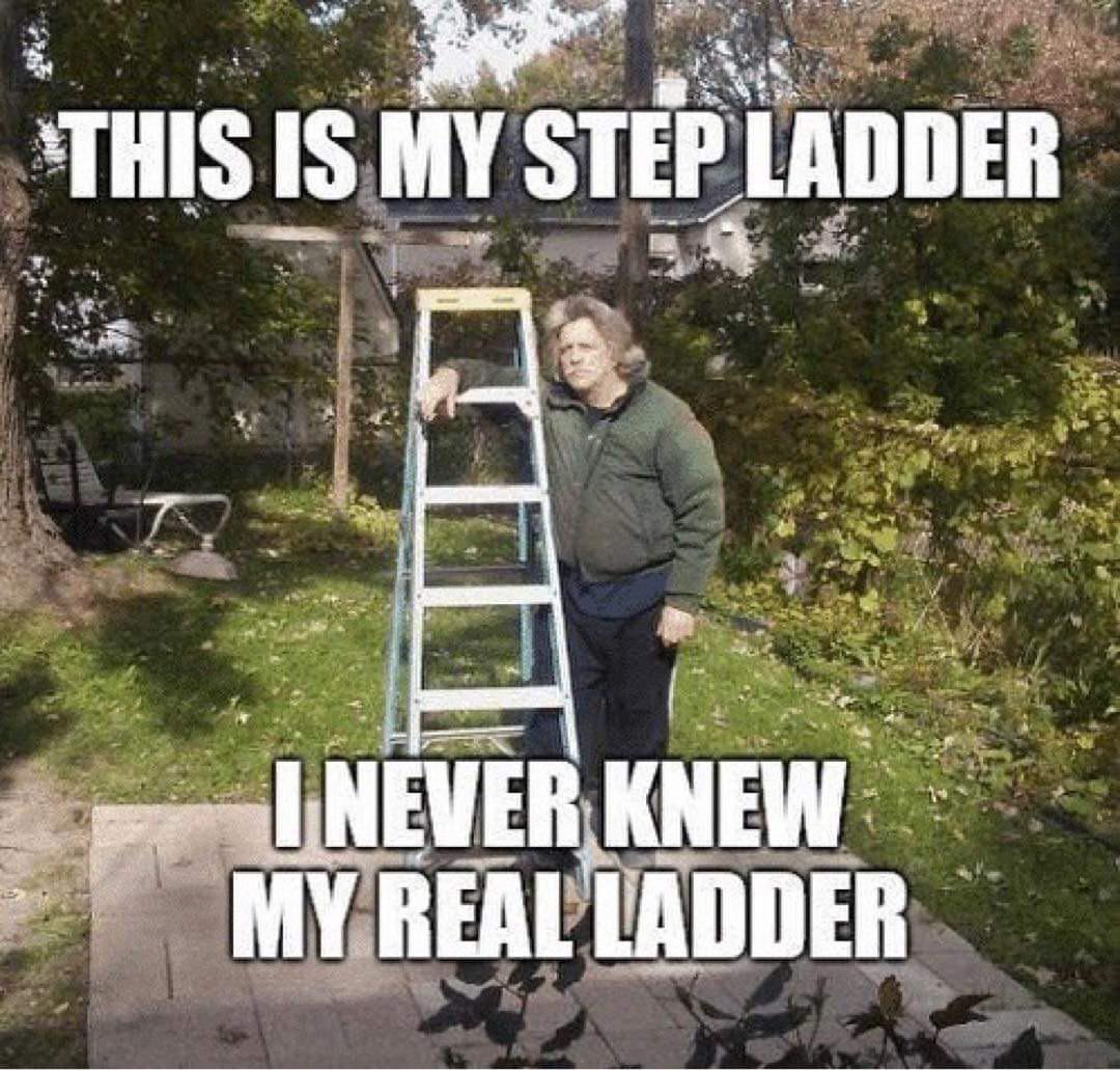 funny memes and pics - my step ladder i never knew my real ladder - This Is My Step Ladder I Never Knew My Real Ladder