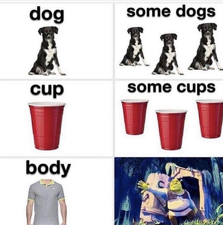 funny memes and pics - dog some dogs cup some cups body - dog cup body some dogs some cups