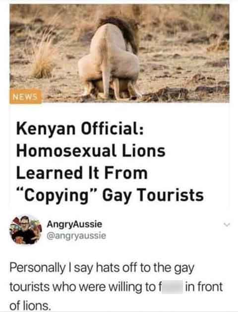 lions gay sex tourist - News Kenyan Official Homosexual Lions Learned It From