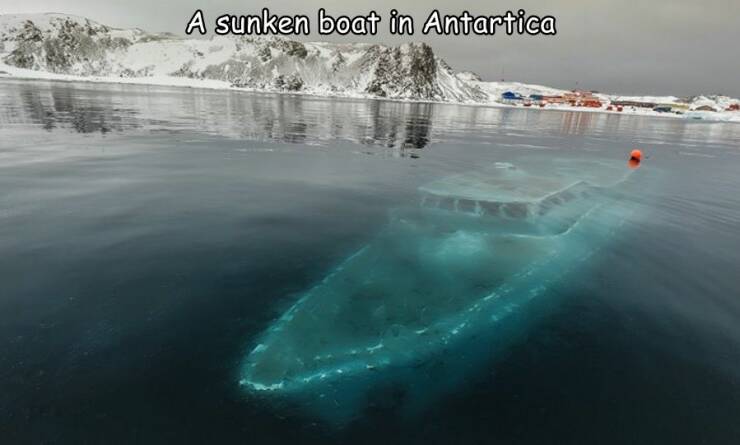 cool random pics - thalassophobia ship - A sunken boat in Antartica