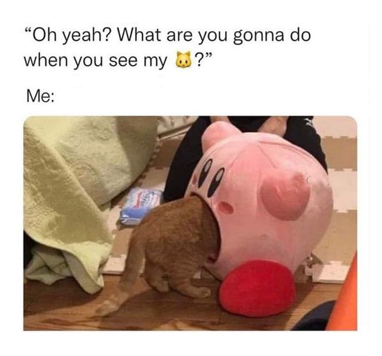 sex memes and spicy pics -  stuffed toy - "Oh yeah? What are you gonna do when you see my ?" Me Kaffee 00