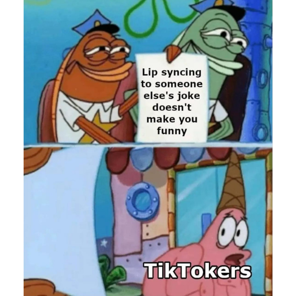funny memes and pics -  country jokes - Lip syncing to someone else's joke doesn't make you funny TikTokers