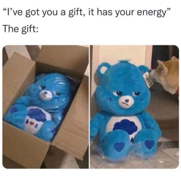 funny memes and pics -  stuffed toy - "I've got you a gift, it has your energy" The gift
