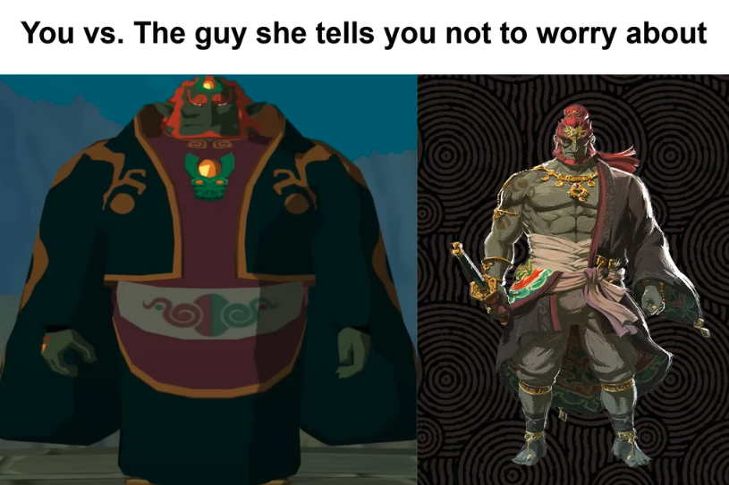 gaming memes - ganondorf tears of the kingdom - You vs. The guy she tells you not to worry about