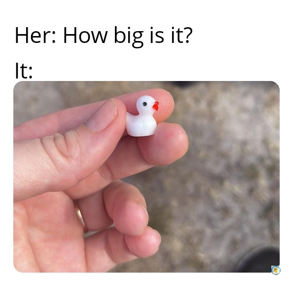funny pics and memes - hand - Her How big is it? It 0