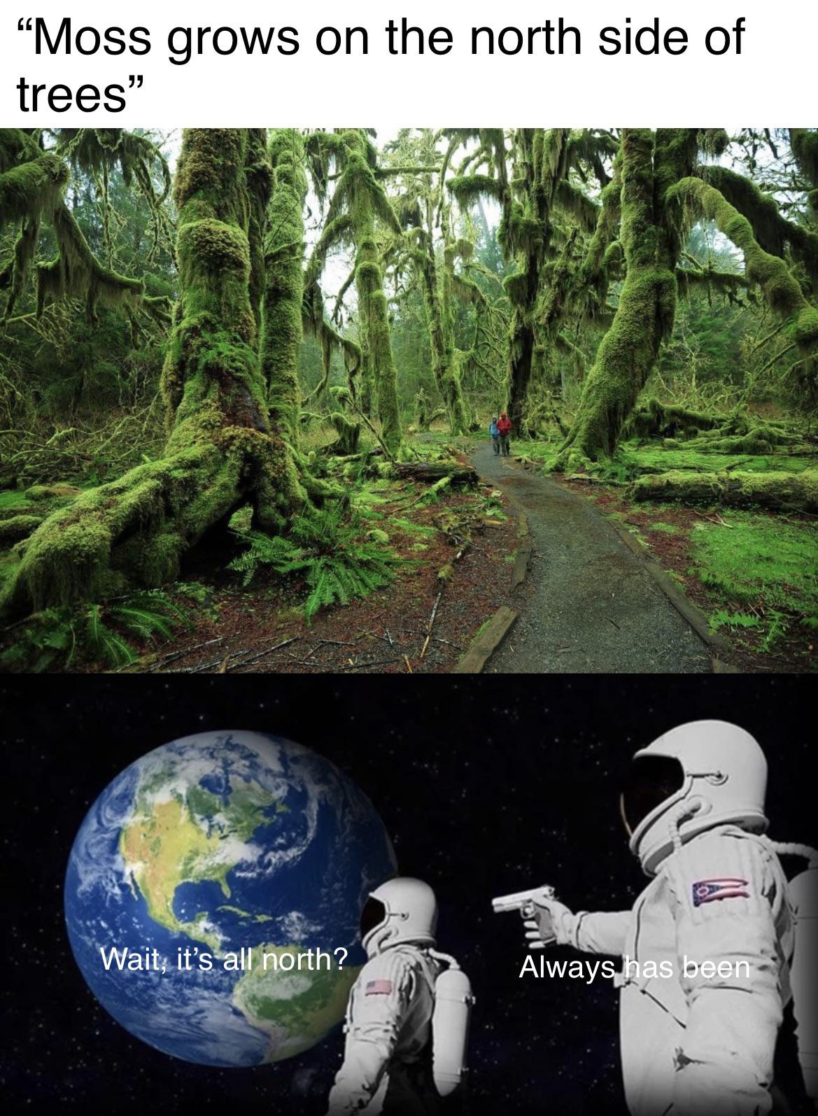 funny pics and memes - always has been meme 3 astronauts - "Moss grows on the north side of trees" Wait, it's all north? Always has been