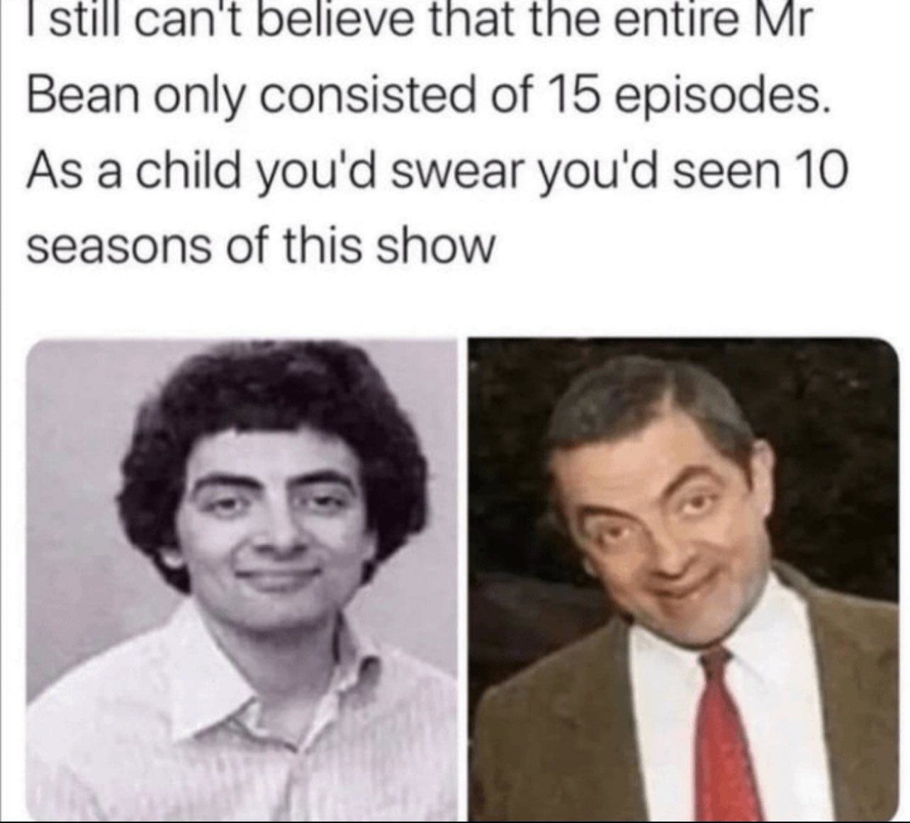 internet hall of  fame - head - I still can't believe that the entire Mr Bean only consisted of 15 episodes. As a child you'd swear you'd seen 10 seasons of this show
