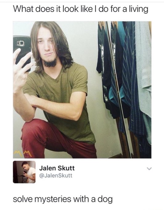 savage comments and insults - whimsical person - What does it look I do for a living Jalen Skutt solve mysteries with a dog