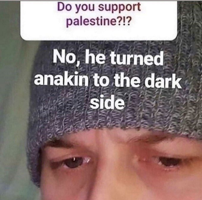 savage comments and insults - gen z memes that make no sense - Do you support palestine?!? No, he turned anakin to the dark side