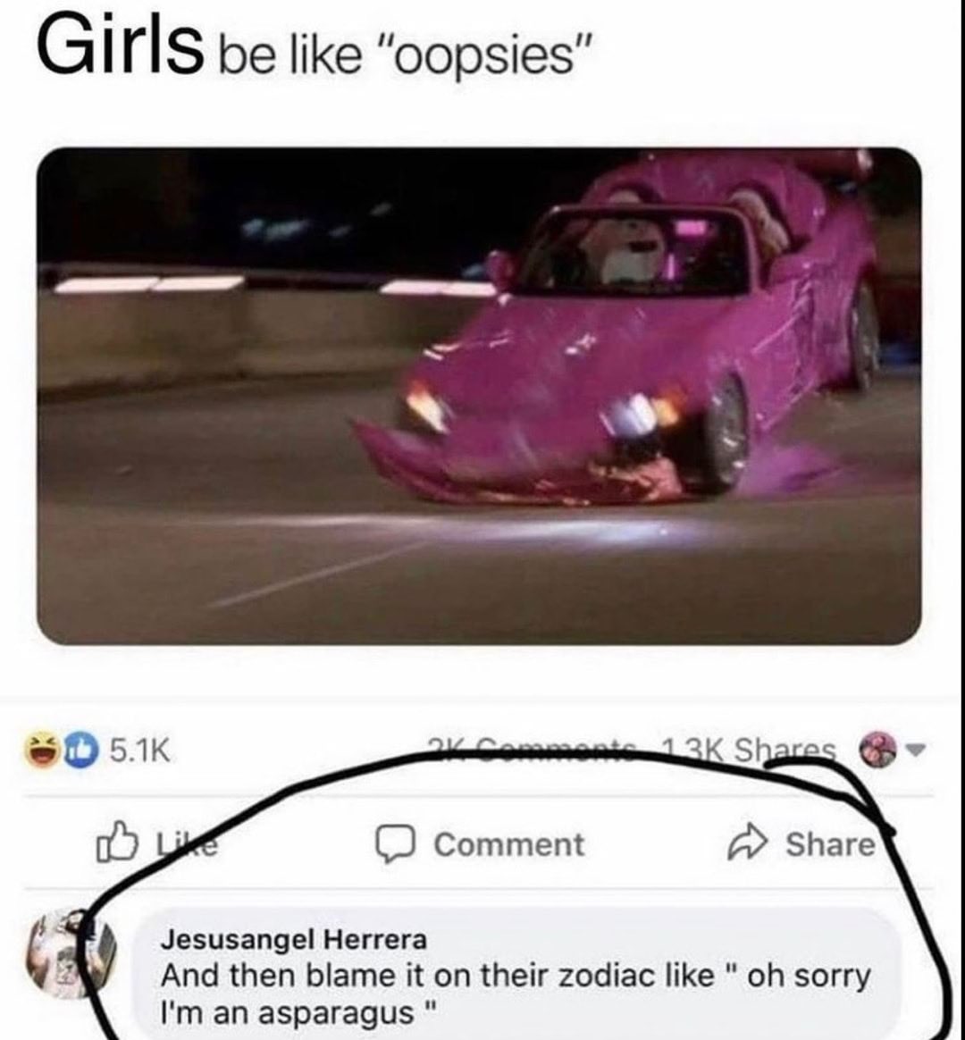 internet hall of  fame - im such an asparagus - Girls be "oopsies" 21 13K Comment Jesusangel Herrera And then blame it on their zodiac " oh sorry I'm an asparagus "