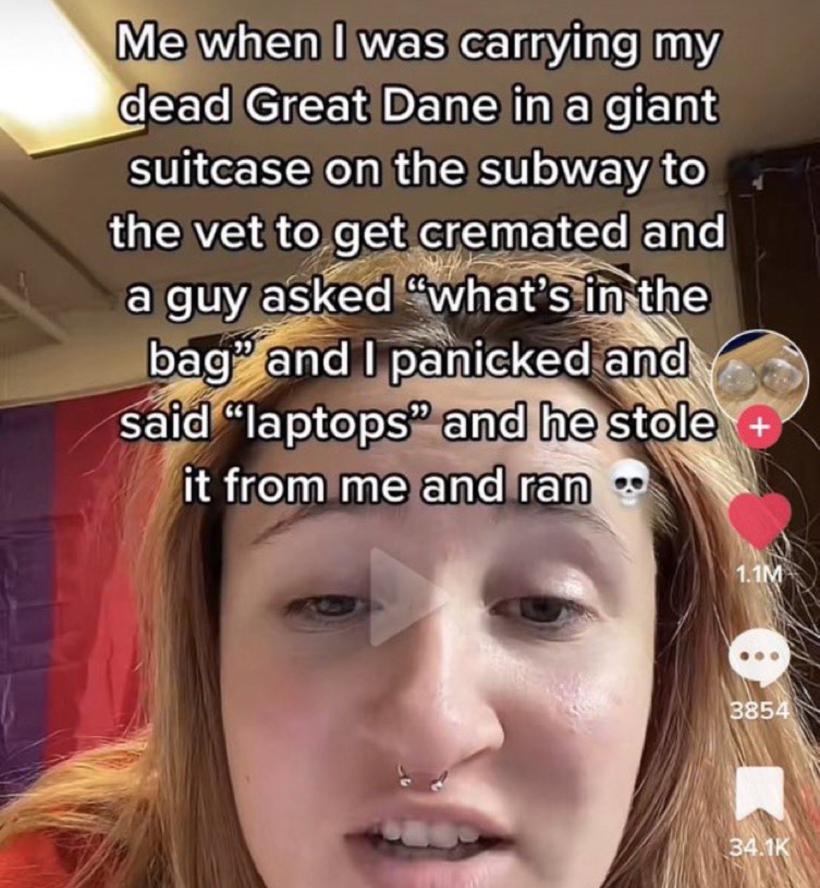 wild tiktok screenshots - lip - Me when I was carrying my dead Great Dane in a giant suitcase on the subway to the vet to get cremated and a guy asked "what's in the bag" and I panicked and said "laptops" and he stole it from me and ran 1.1M 3854