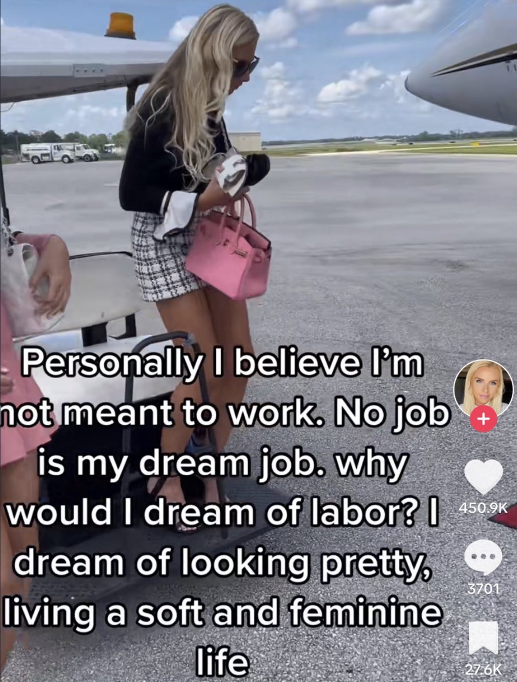 wild tiktok screenshots - vacation - Personally I believe I'm not meant to work. No job is my dream job. why would I dream of labor? I dream of looking pretty, living a soft and feminine life 3701