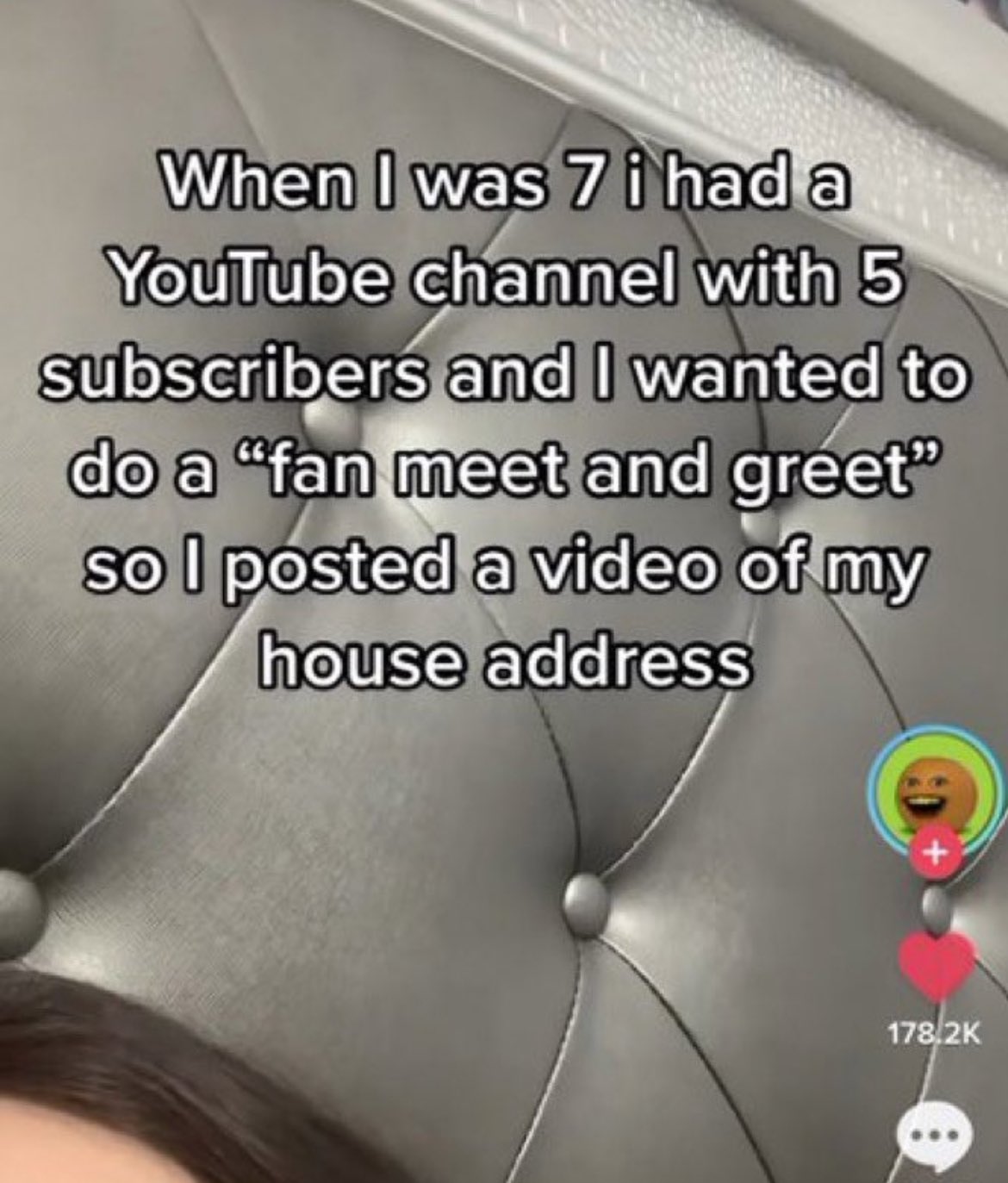 wild tiktok screenshots - wanted to do a fan meet - When I was 7 i had a YouTube channel with 5 subscribers and I wanted to do a "fan meet and greet" so I posted a video of my house address