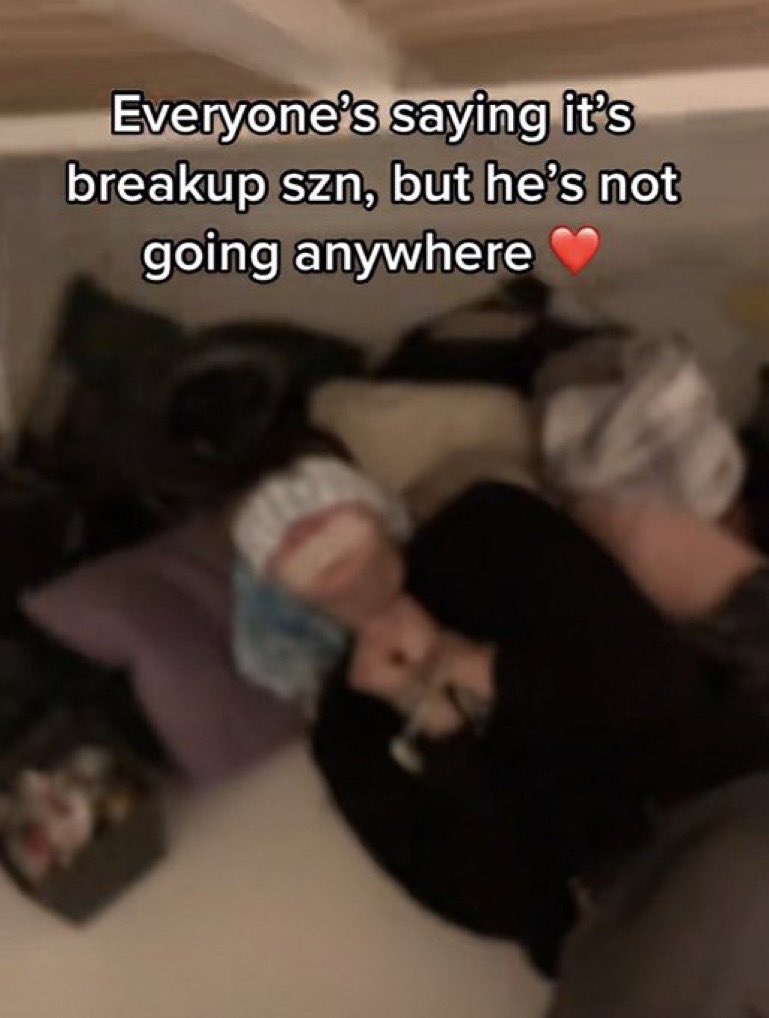wild tiktok screenshots - photo caption - Everyone's saying it's breakup szn, but he's not going anywhere