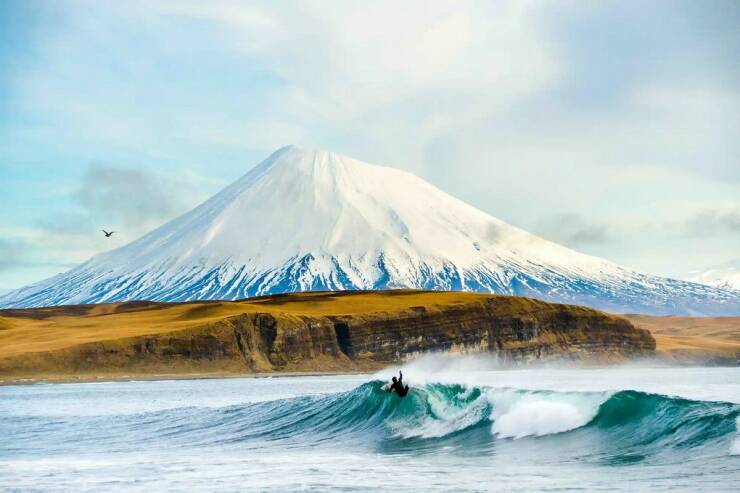 funny memes and pics - chris burkard surf