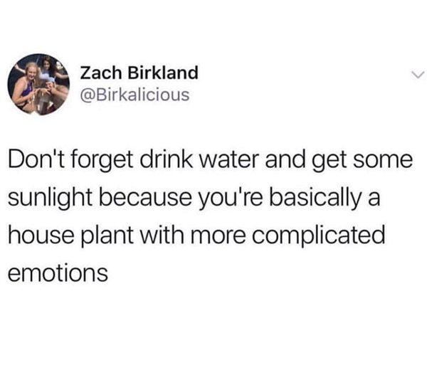 relatable memes - if you associate with people who did me wrong - Zach Birkland Don't forget drink water and get some sunlight because you're basically a house plant with more complicated emotions