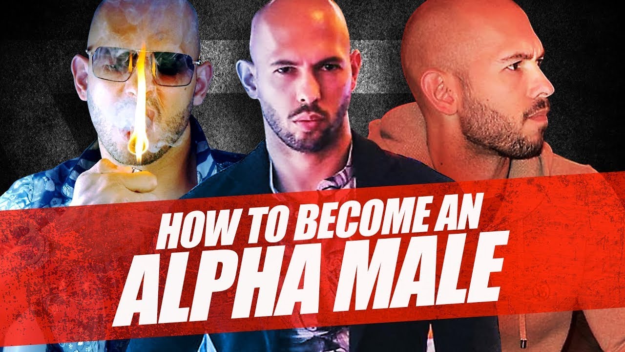 Generational Divide Reddit - andrew tate alpha male - How To Become An Alpha Male