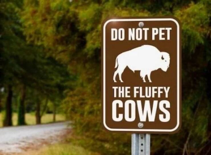 cool random pics -  nature reserve - Do Not Pet The Fluffy Cows