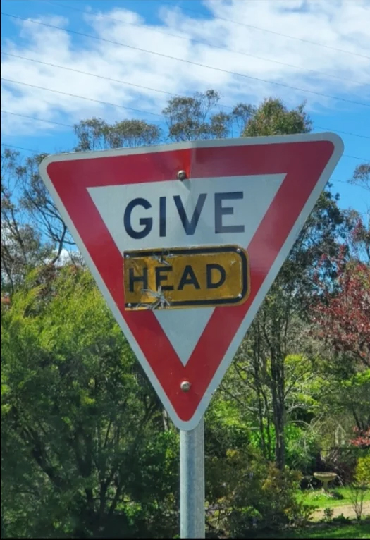 cool random pics - give way sign - Give Head