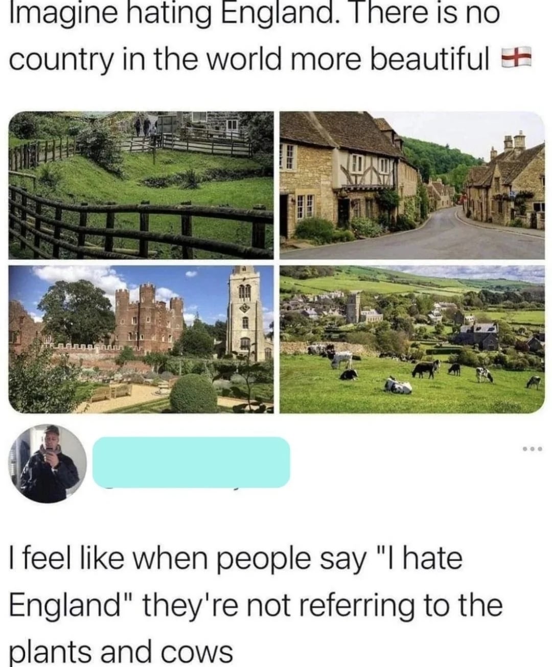 funniest tweets of the week - water resources - Imagine hating England. There is no country in the world more beautiful 7.000 I feel when people say "I hate England" they're not referring to the plants and cows ...