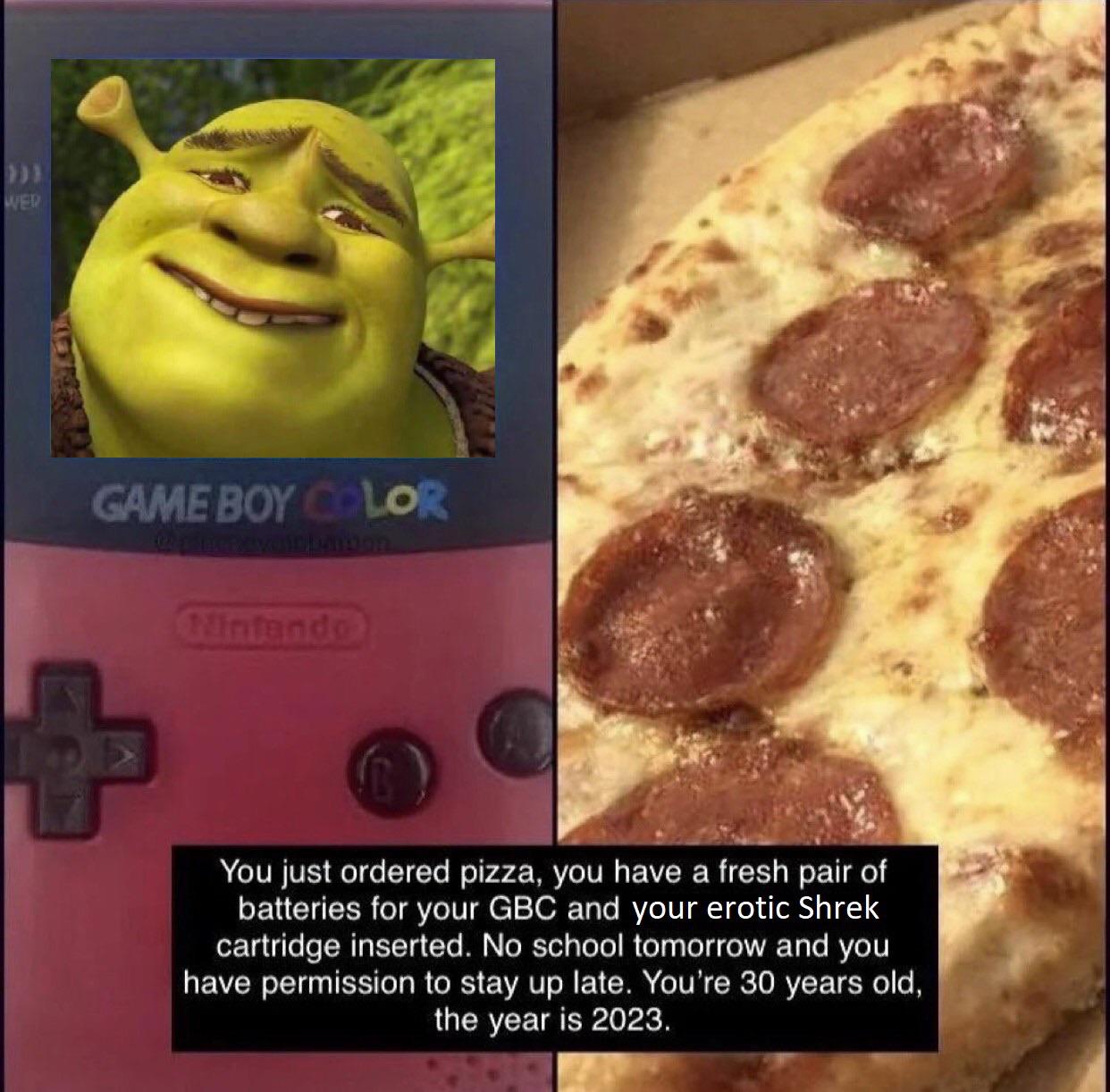 funny friday memes - Wed Game Boy Color Ninfando You just ordered pizza, you have a fresh pair of batteries for your Gbc and your erotic Shrek cartridge inserted. No school tomorrow and you have permission to stay up late. You're 30 years old, the year is