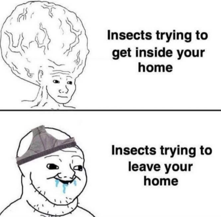 funny friday memes - line art - Insects trying to get inside your home Insects trying to leave your home