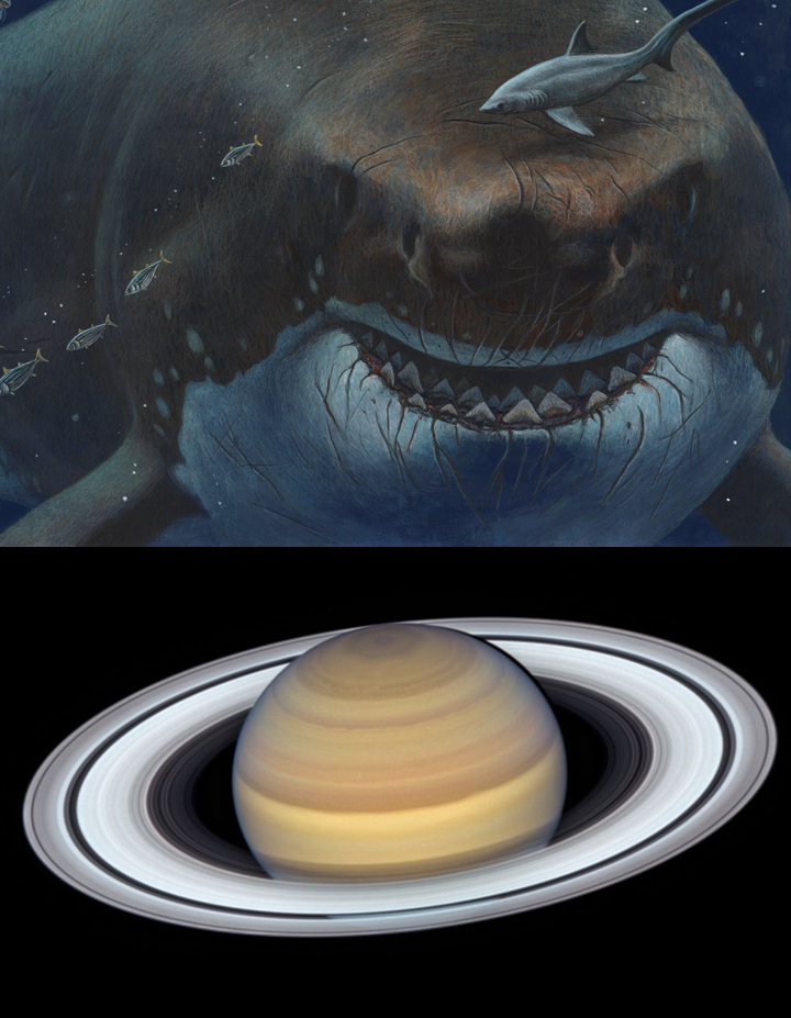 That sharks predated the rings of Saturn. -BeardedDominant