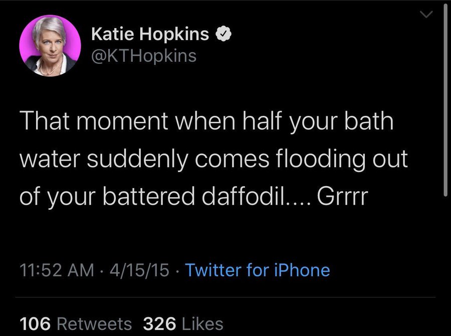 worst tweets of all time - screenshot - Katie Hopkins That moment when half your bath water suddenly comes flooding out of your battered daffodil.... Grrrr 41515 Twitter for iPhone 106 326