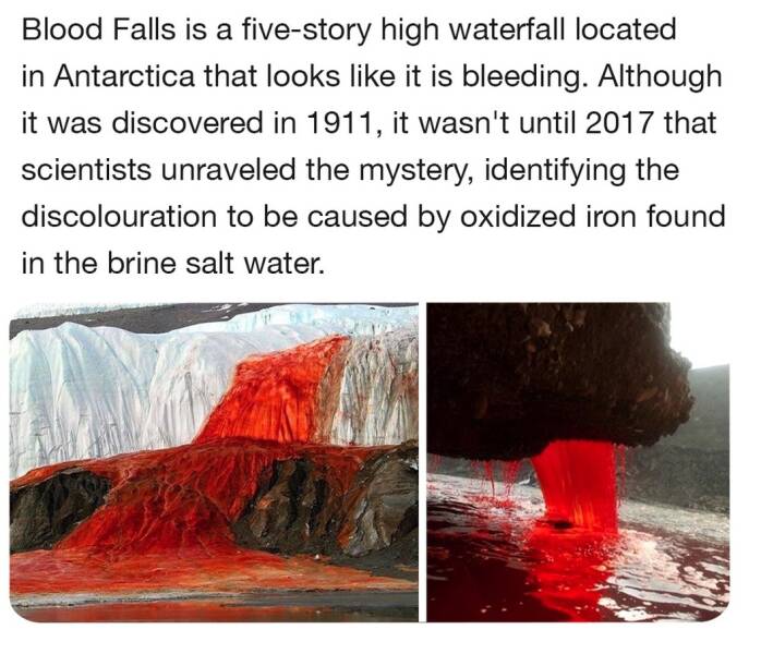 cool random pics - water resources - Blood Falls is a fivestory high waterfall located in Antarctica that looks it is bleeding. Although it was discovered in 1911, it wasn't until 2017 that scientists unraveled the mystery, identifying the discolouration 