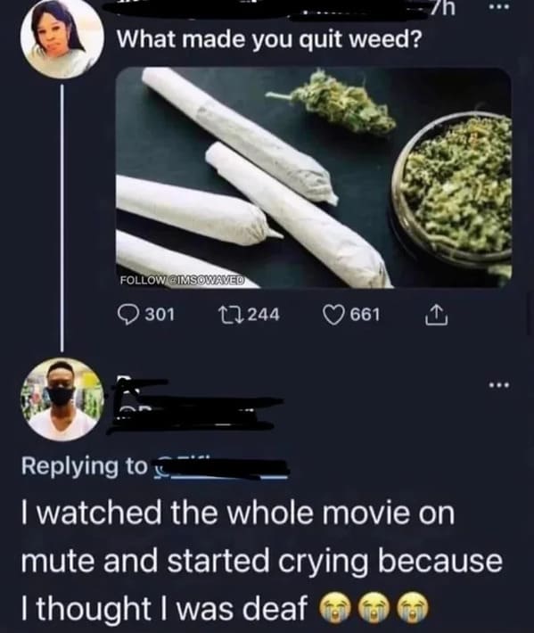 did you quit weed - What made you quit weed? Gimsowaved 301 244 661 7h I watched the whole movie on mute and started crying because I thought I was deaf