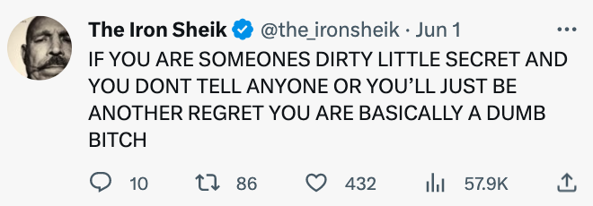 funny Iron Shiek tweets - diagram - The Iron Sheik . Jun 1 If You Are Someones Dirty Little Secret And You Dont Tell Anyone Or You'Ll Just Be Another Regret You Are Basically A Dumb Bitch 10 tl 86 432