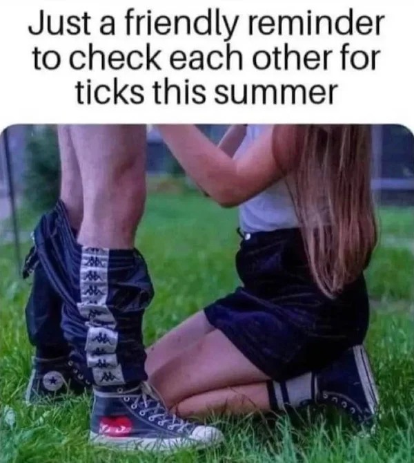 spicy sex memes - photo caption - Just a friendly reminder to check each other for ticks this summer 2000 Ma Wh 8888