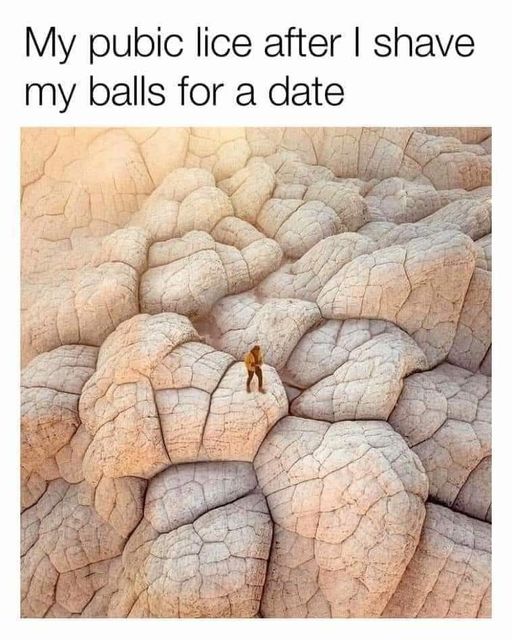 spicy sex memes - pirate cave - My pubic lice after I shave my balls for a date