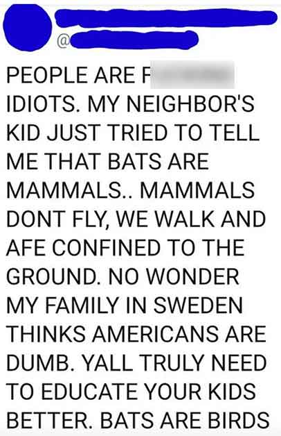 facepalms love you sayings - @ People Are F Idiots. My Neighbor'S Kid Just Tried To Tell Me That Bats Are Mammals.. Mammals Dont Fly, We Walk And Afe Confined To The Ground. No Wonder My Family In Sweden Thinks Americans Are Dumb. Yall Truly Need To Educa